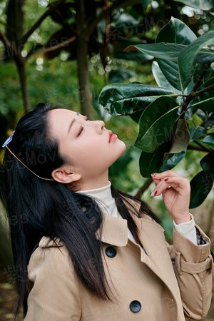 皇帝圣印战记